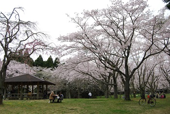 お花見広場