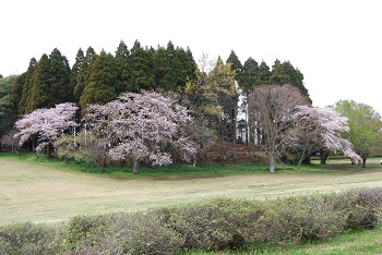 太陽の広場西側