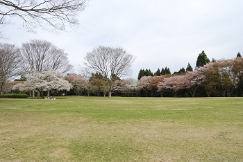 太陽の広場東側