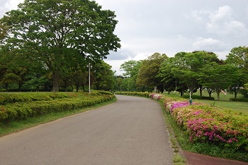 太陽の広場園路