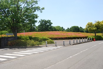 事務所付近（第2駐車場へと向かう園路）