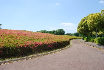 サイクリングコース