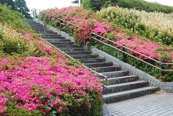 展望台階段