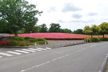 事務所入り口付近