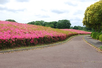 サイクリングコース