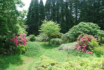 市町村の森奥