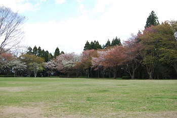 太陽の広場東側