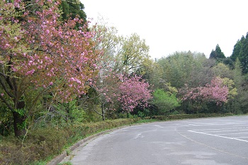 第1駐車場内