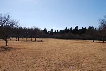 全体の様子