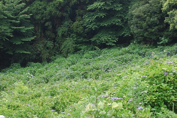 冬のみち方向