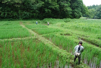 作業の様子