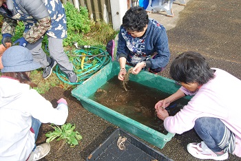 作業の様子