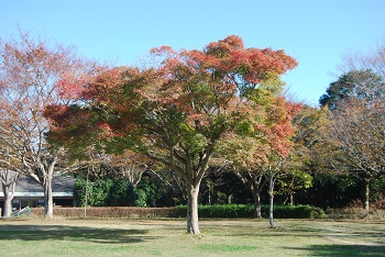 太陽の広場