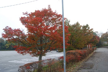 第1駐車場付近