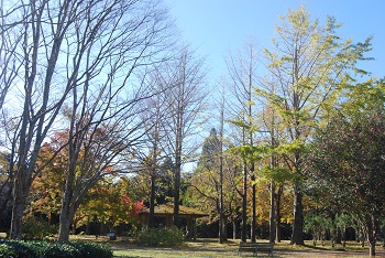市町村の森