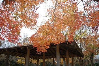 市町村の森