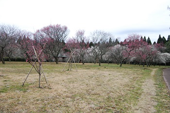 全体の様子