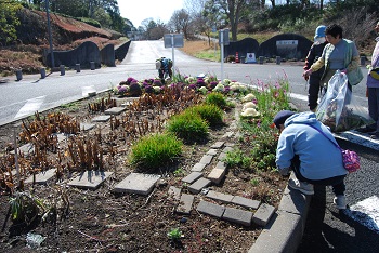 除草作業