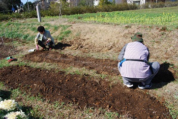 作業の様子