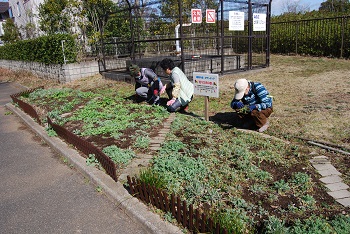 作業の様子