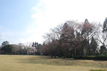 太陽の広場