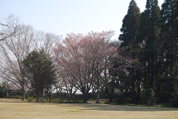 太陽の広場