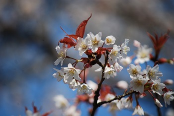 太陽の広場