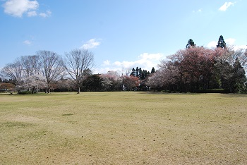 太陽の広場