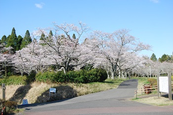 お花見広場入口