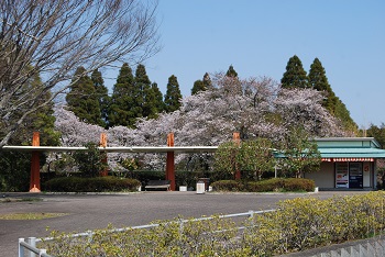 太陽の広場