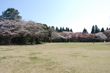 太陽の広場
