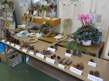 昭和の森「お正月飾り」