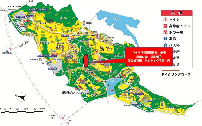 カタクリ観賞エリア