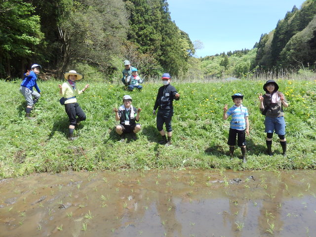 昭和の森親子田んぼ教室（田植え）