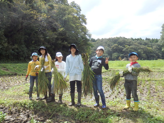 昭和の森親子田んぼ教室「稲刈り」