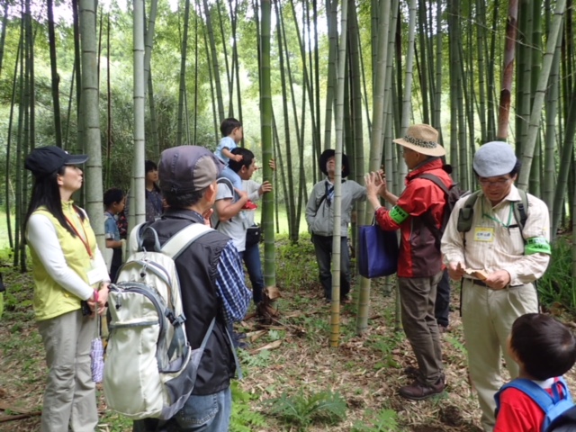 第317回昭和の森自然観察会「初夏の昭和の森をぐるっと一回り」