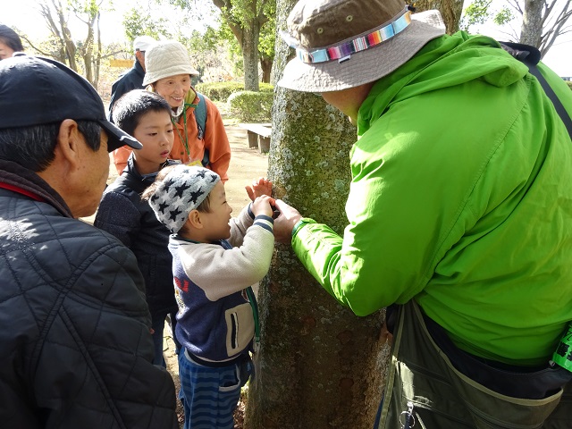 第324回「生き物たちの冬支度」