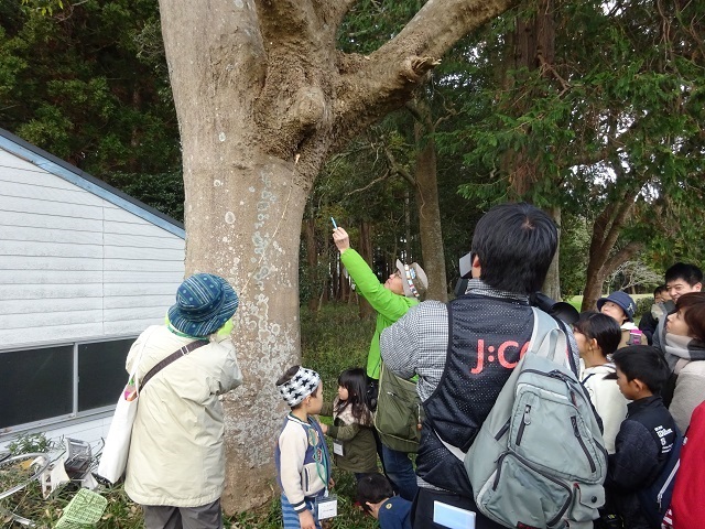 第324回「生き物たちの冬支度」
