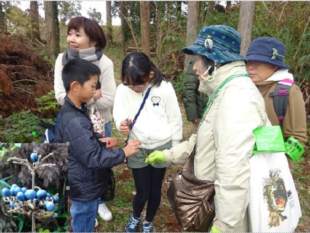 第324回「生き物たちの冬支度」