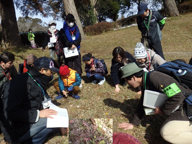 第326回昭和の森自然観察「冬の植物の過ごし方」