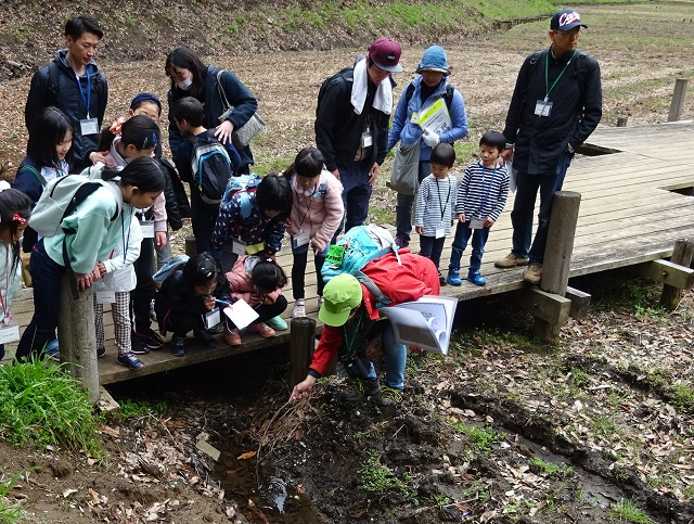 第327回昭和の森自然観察「早春の生き物たち」