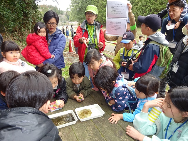 第327回昭和の森自然観察「早春の生き物たち」