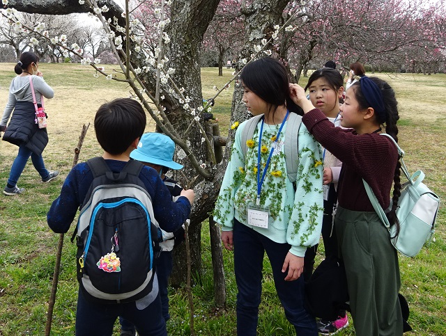 第327回昭和の森自然観察「早春の生き物たち」
