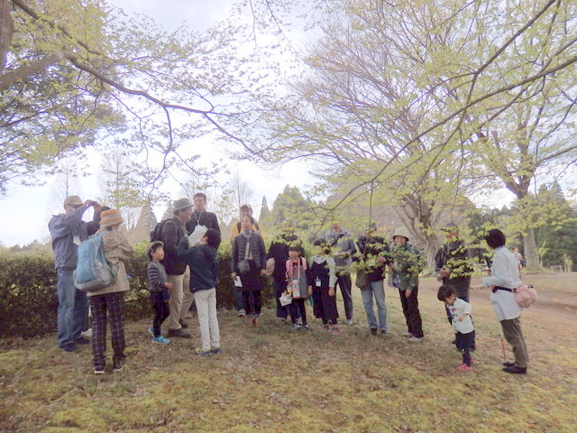 第328回昭和の森自然観察「春の花」