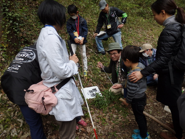第328回昭和の森自然観察「春の花」