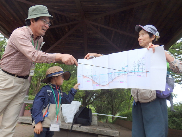 第330回昭和の森自然観察会「水辺の植物のひみつをさぐろう」
