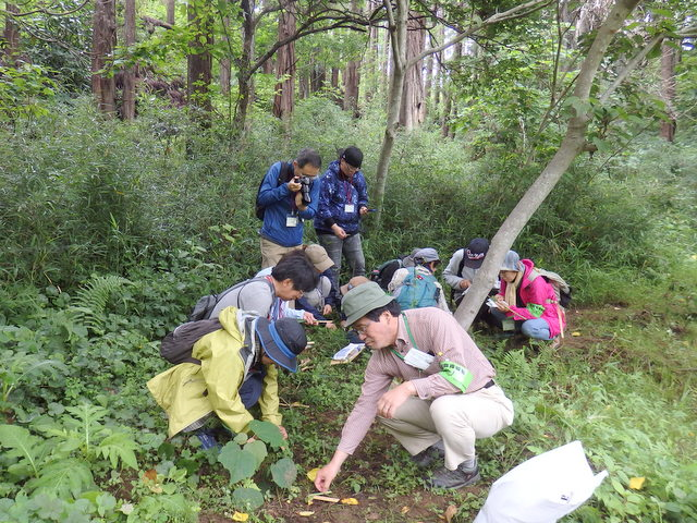第330回昭和の森自然観察会「水辺の植物のひみつをさぐろう」