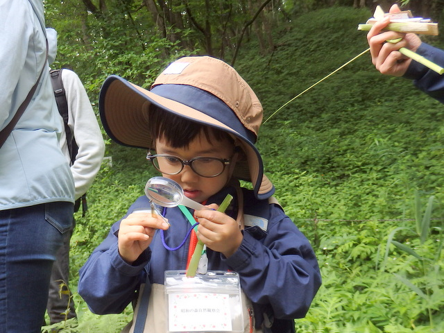 第330回昭和の森自然観察会「水辺の植物のひみつをさぐろう」