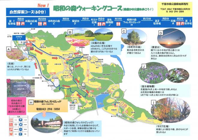 新ウォーキングコース（自然探検）