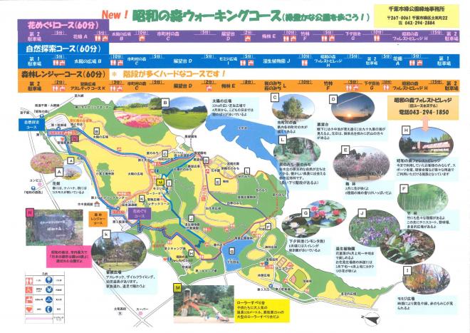 新ウォーキングコース（全コース）
